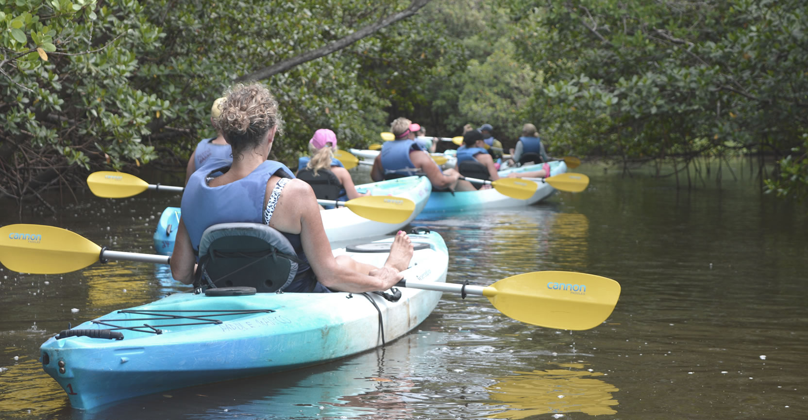 About our kayak tours